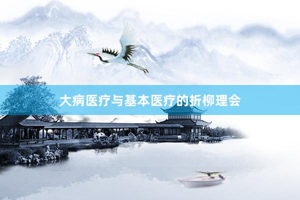大病医疗与基本医疗的折柳理会